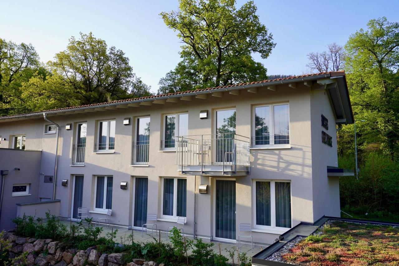 Busses Guesthouse Freiburg im Breisgau Exterior photo